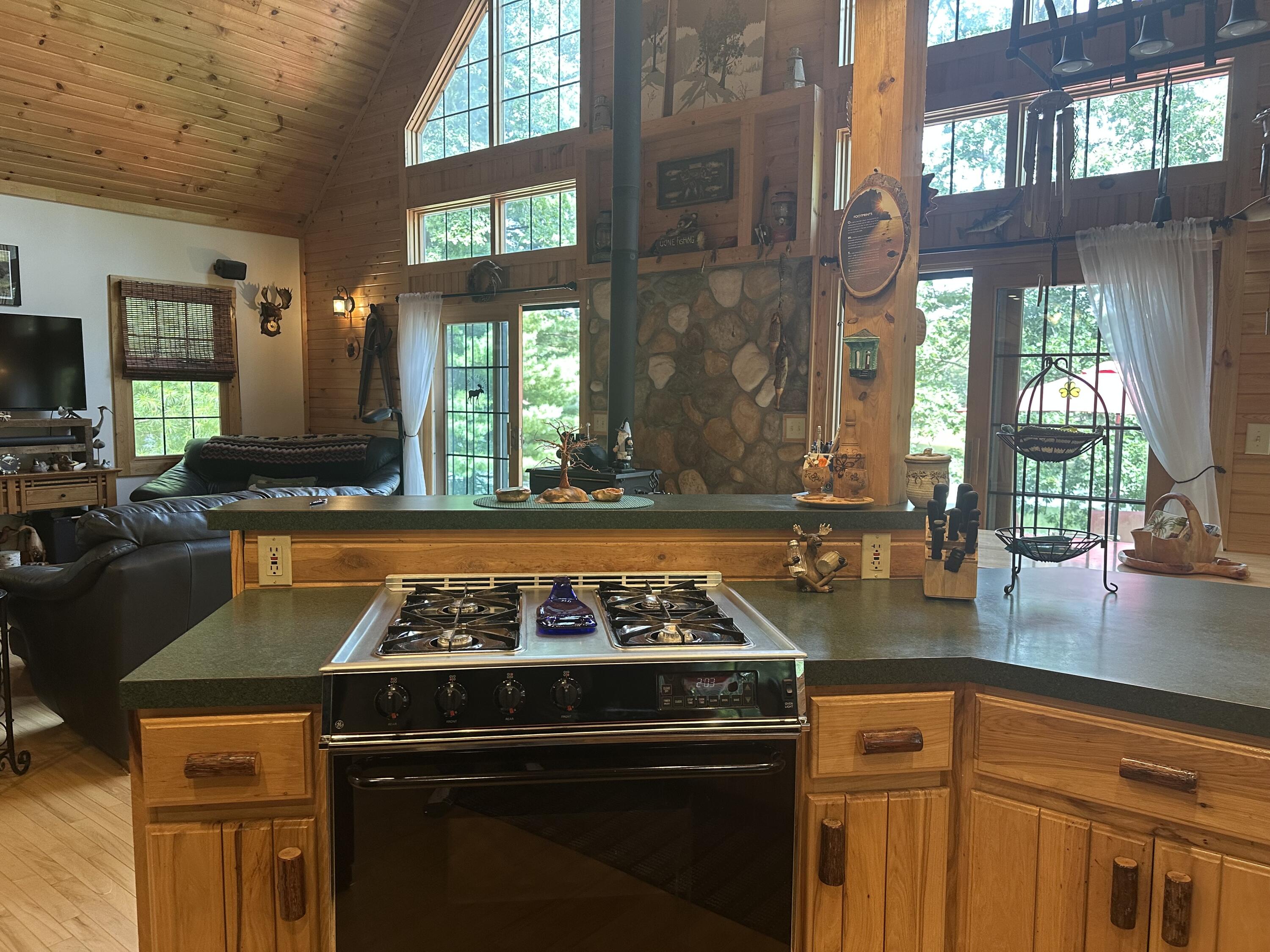 10022 South Rebecca Road Baldwin, MI 49304 - Photo 47 of 117 IMG_7227