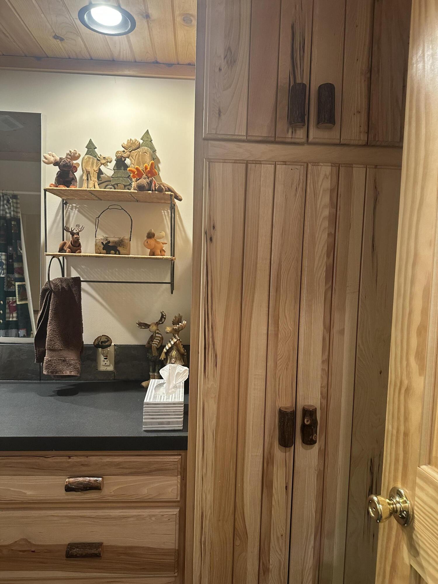 10022 South Rebecca Road Baldwin, MI 49304 - Photo 66 of 117 IMG_7240