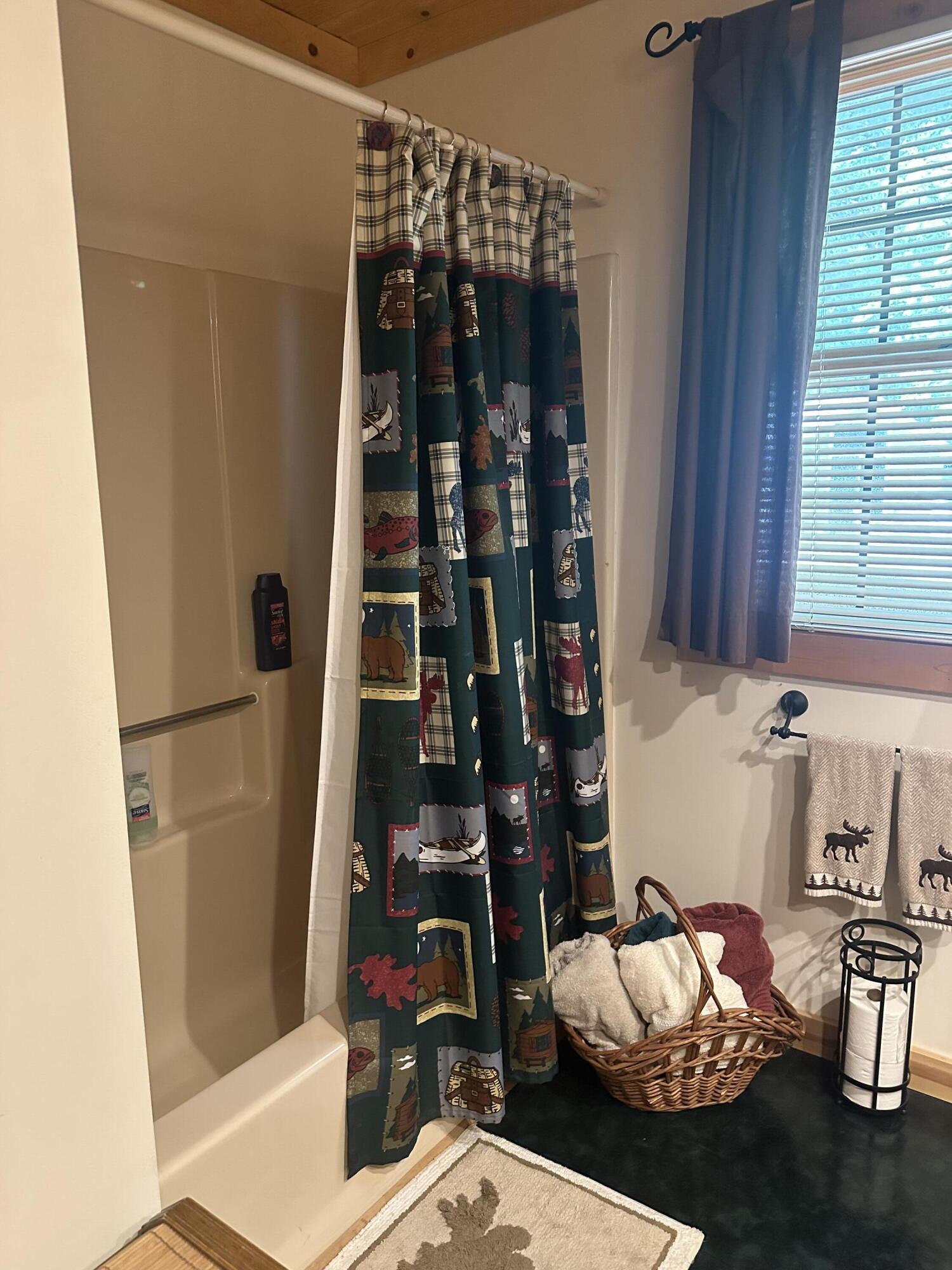 10022 South Rebecca Road Baldwin, MI 49304 - Photo 67 of 117 IMG_7241