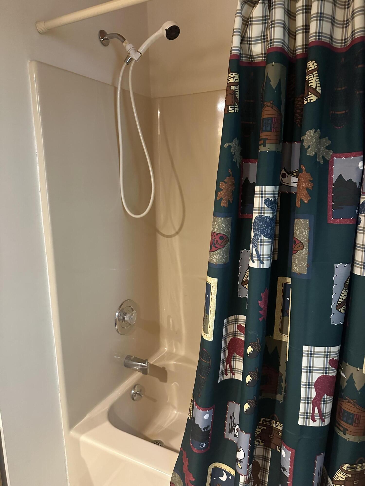 10022 South Rebecca Road Baldwin, MI 49304 - Photo 68 of 117 IMG_7242