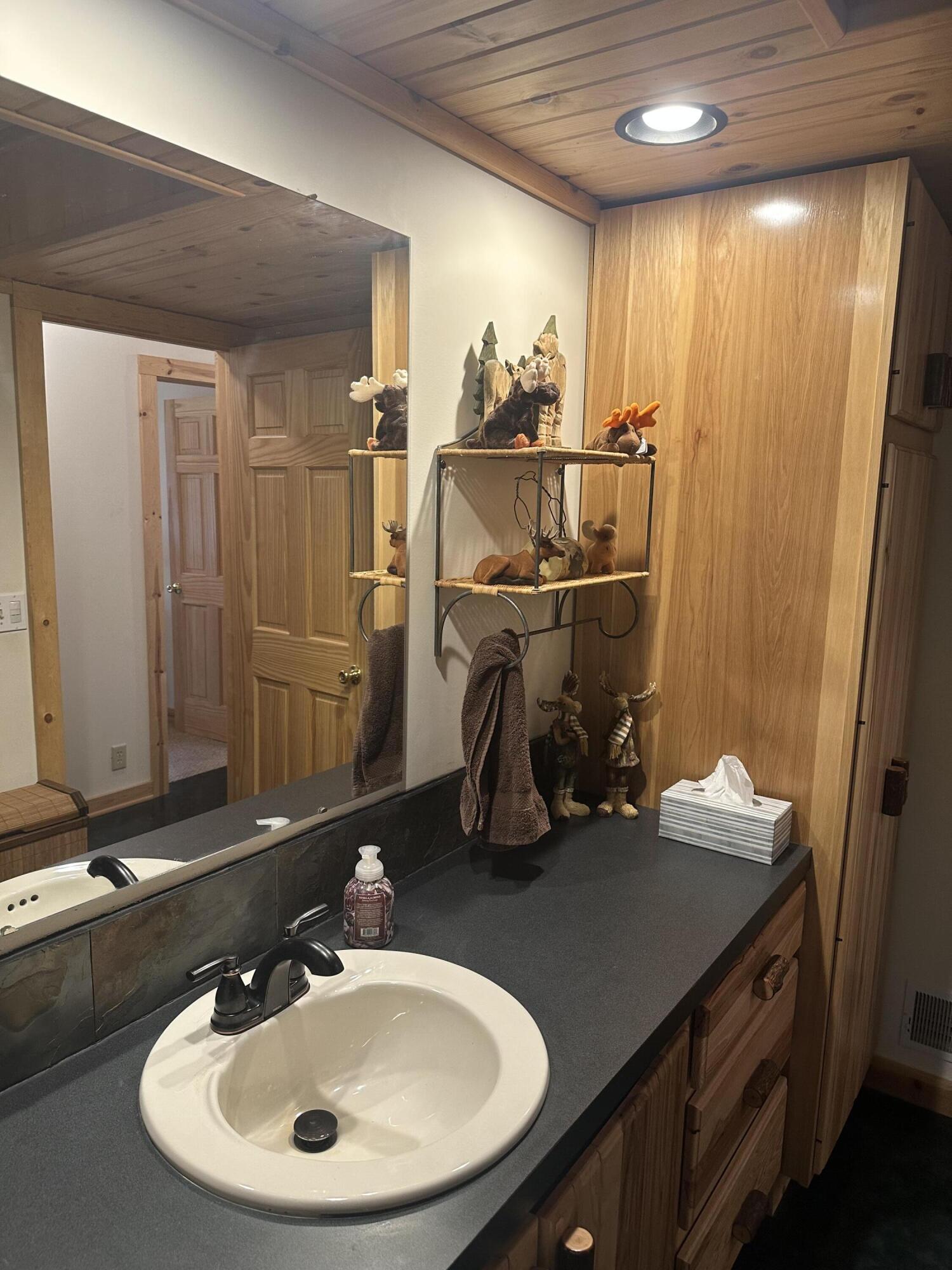 10022 South Rebecca Road Baldwin, MI 49304 - Photo 69 of 117 IMG_7243