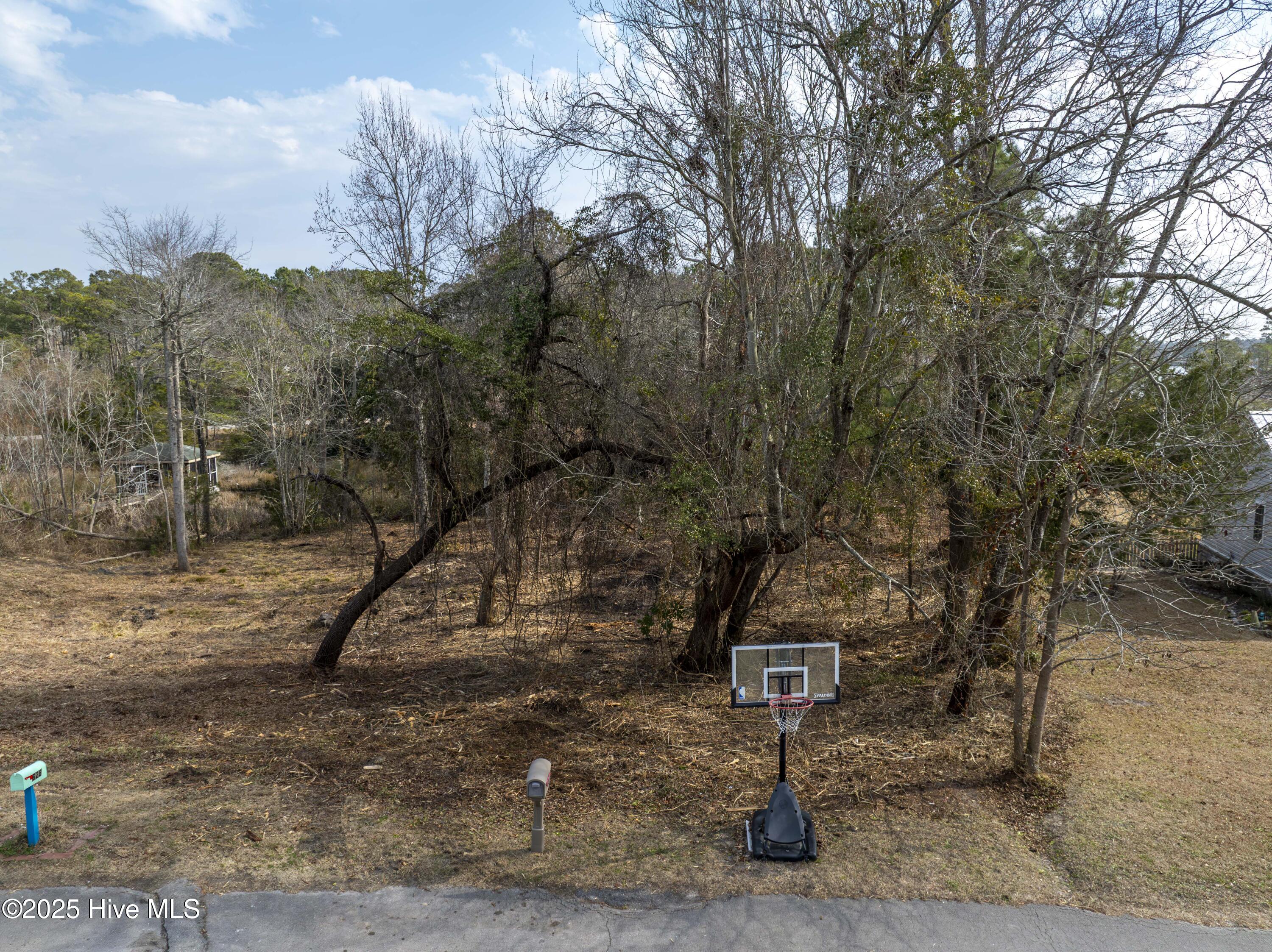635 Riva Ridge Road Sneads Ferry, NC 28460 - Photo 6 of 12 635 Riva Ridge - redo - Aerials - Edited