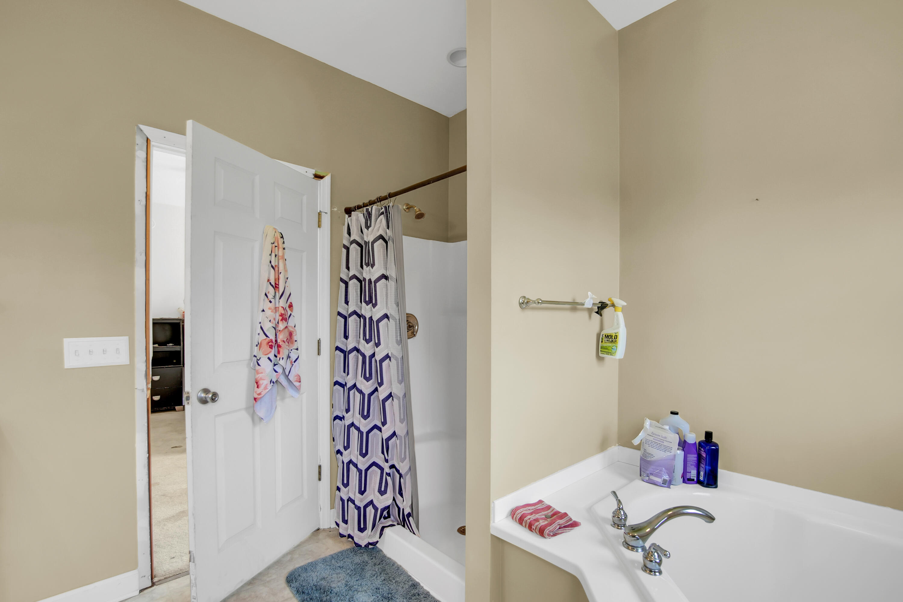 8925 Greenwood Road Adams Run, SC 29426 - Photo 21 of 31 Master bath