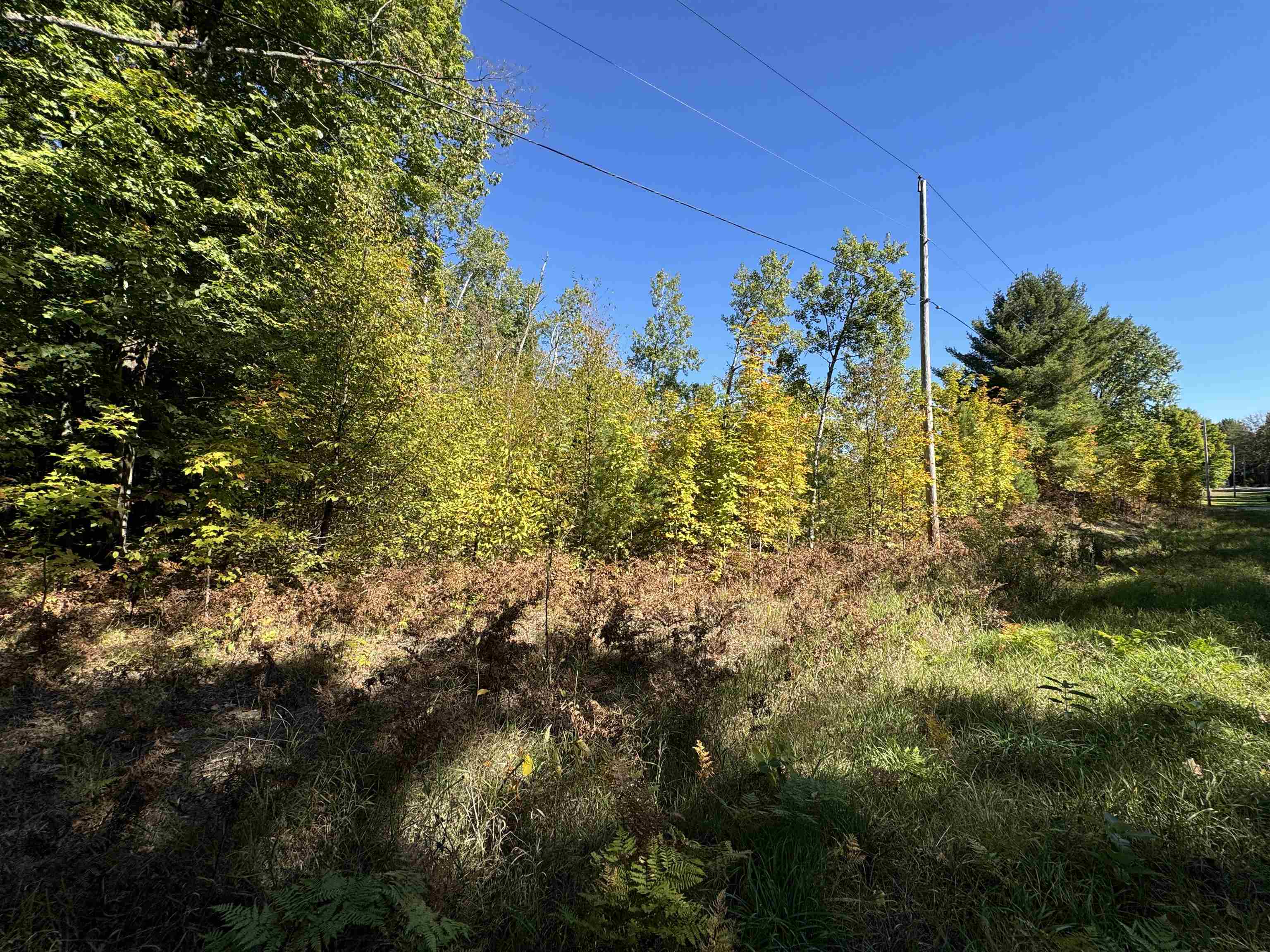 Lot 279 West 6th Road Buckley, MI 49620 - Photo 7 of 19 Gallery Image 7