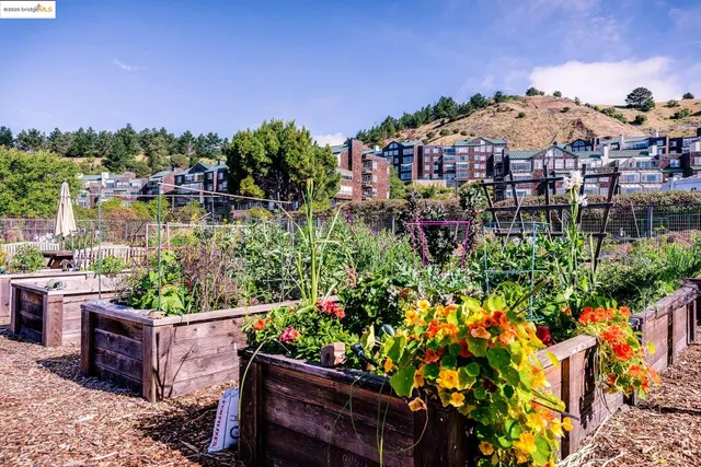 a view of a yard with a tree in the background