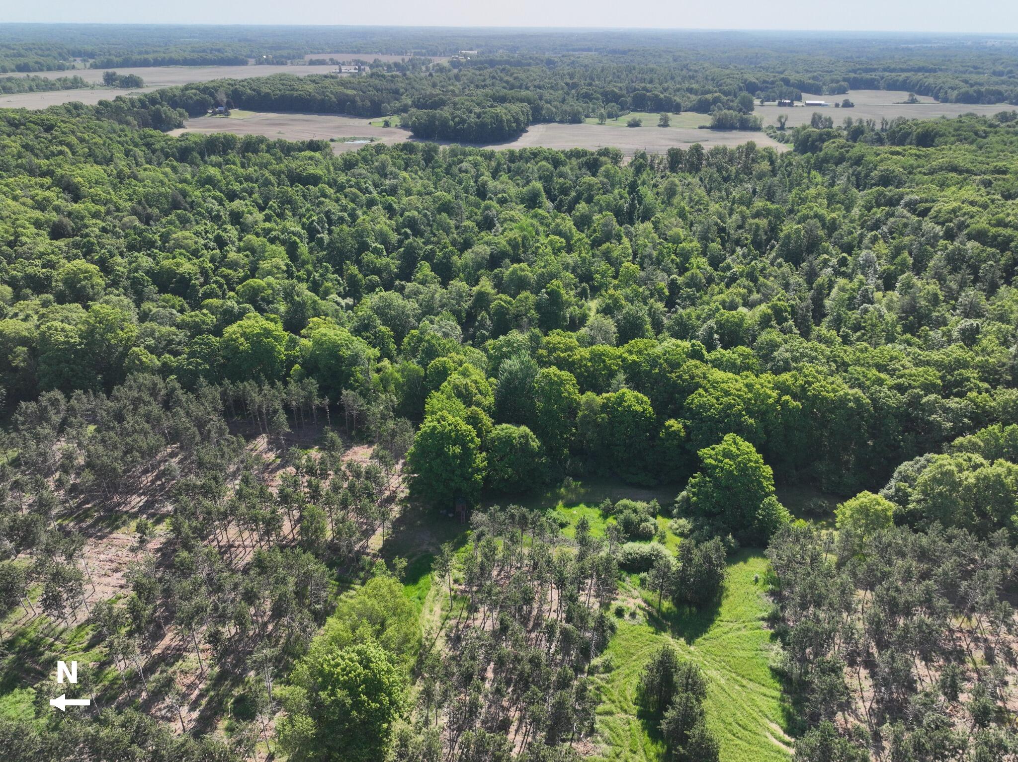 3685 Cypress Road Blanchard, MI 49310 - Photo 16 of 32 North_to_Left_6