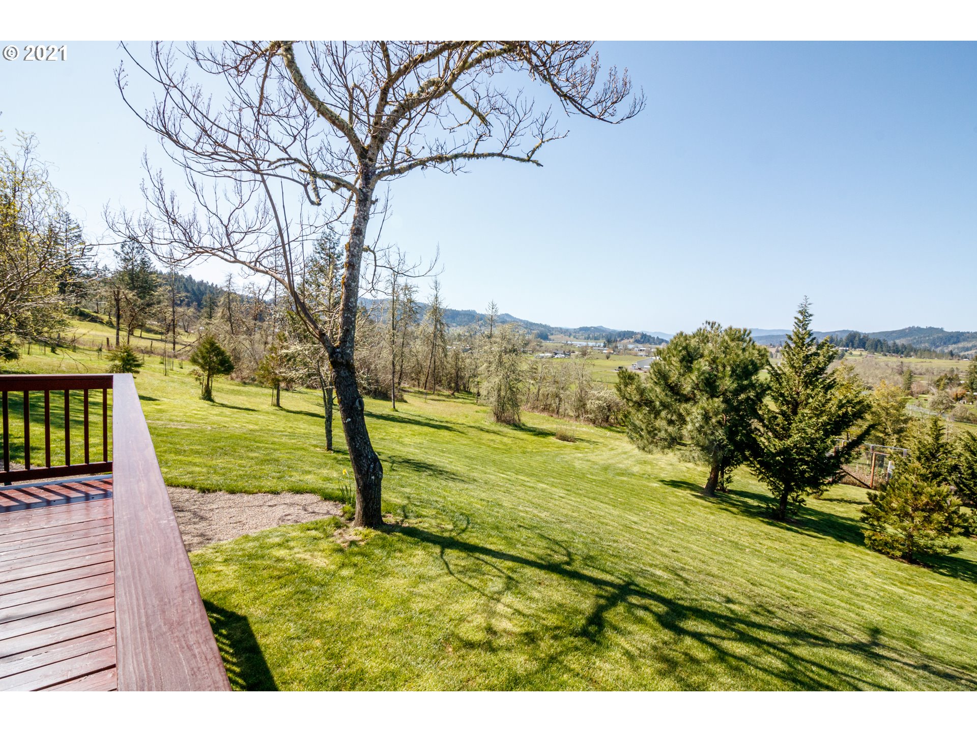 487 Fir Vista Road Sutherlin, OR 97479 - Photo 26 of 32 a view of a yard with an trees