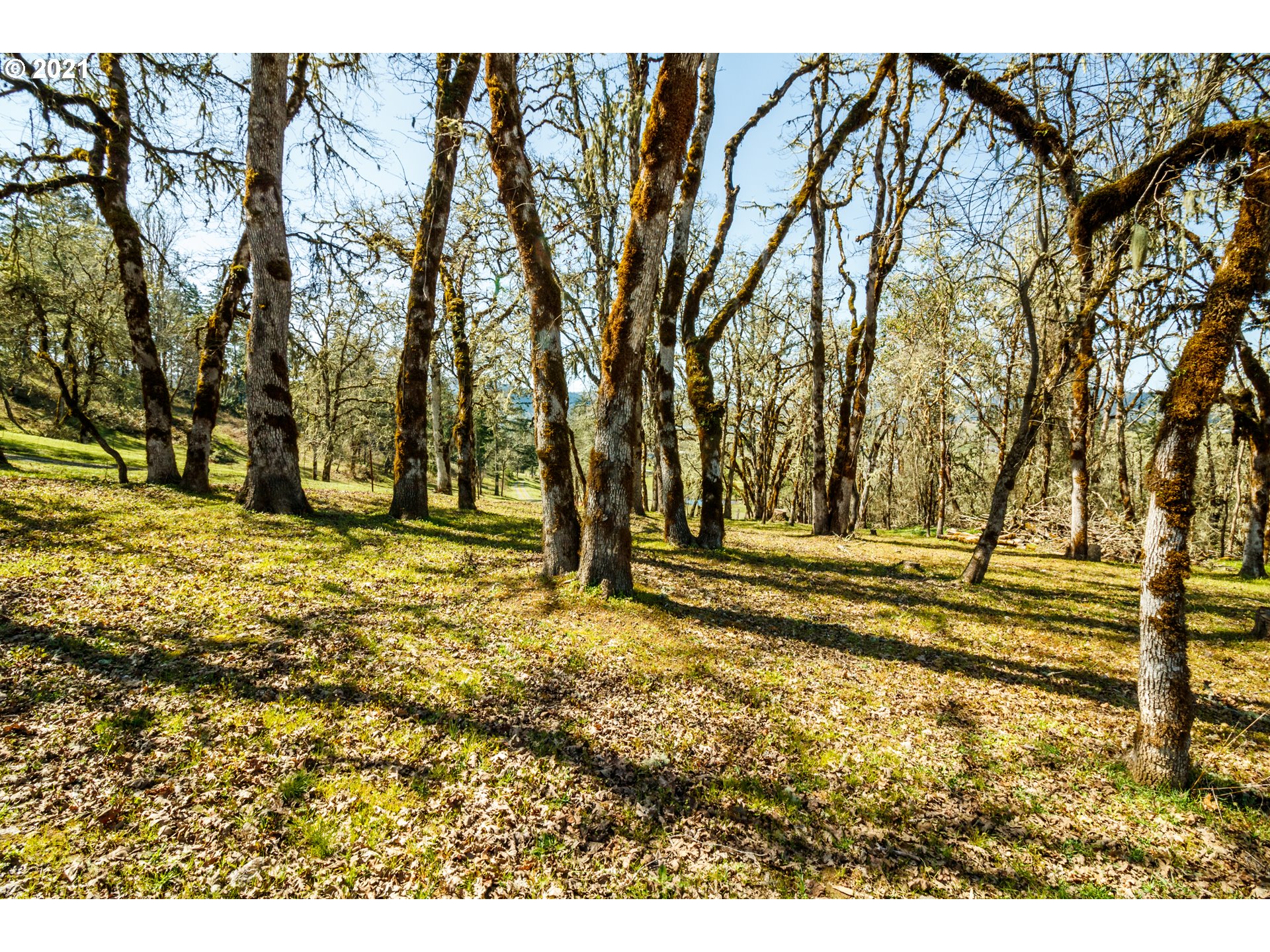 487 Fir Vista Road Sutherlin, OR 97479 - Photo 30 of 32 a view of yard