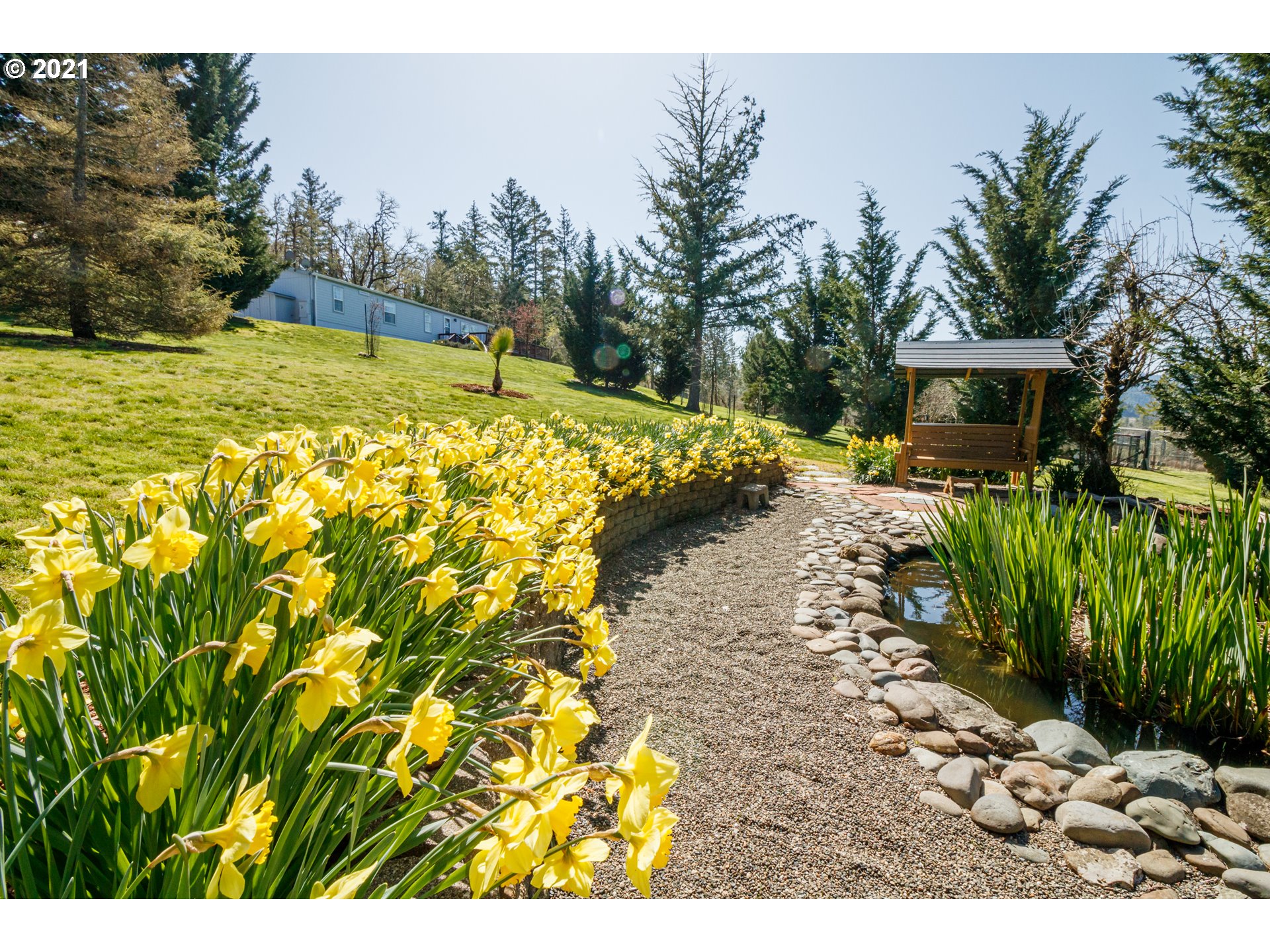487 Fir Vista Road Sutherlin, OR 97479 - Photo 3 of 32 a view of swimming pool with a yard