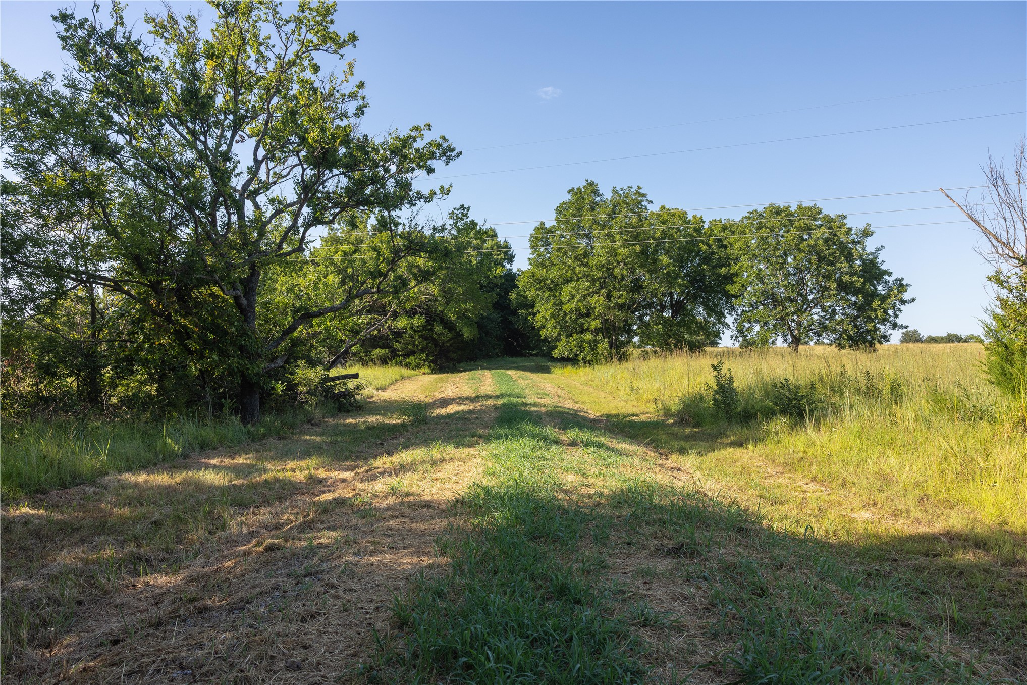 0 West Dunkin Road Cushing, OK 74023 - Photo 21 of 62 Expansive open land featuring mature trees and a clear pathway