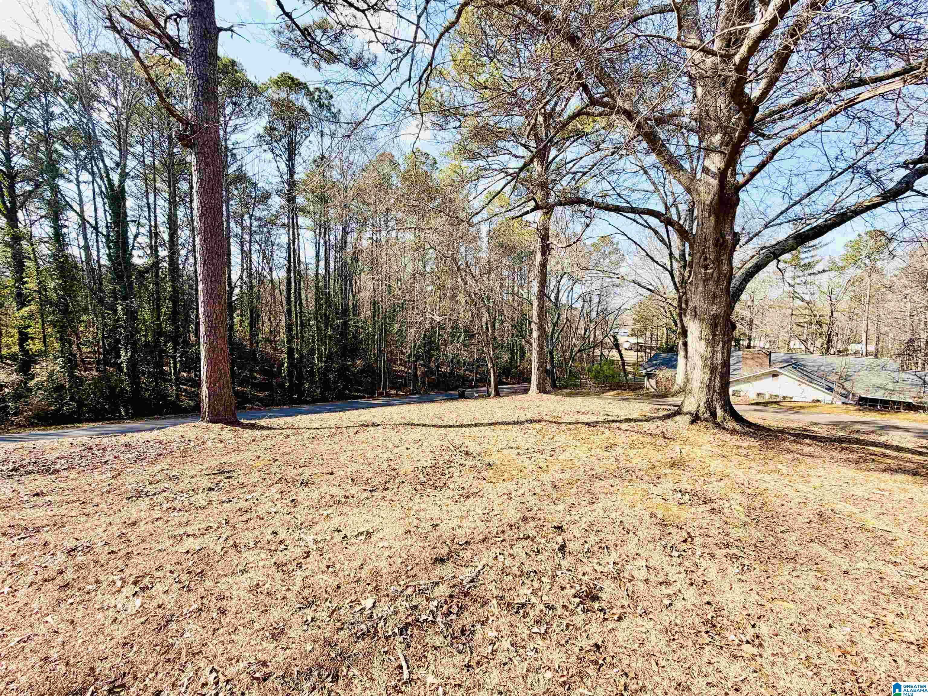 61 Ryan Way Heflin, AL 36264 - Photo 37 of 37 Gallery Image 37