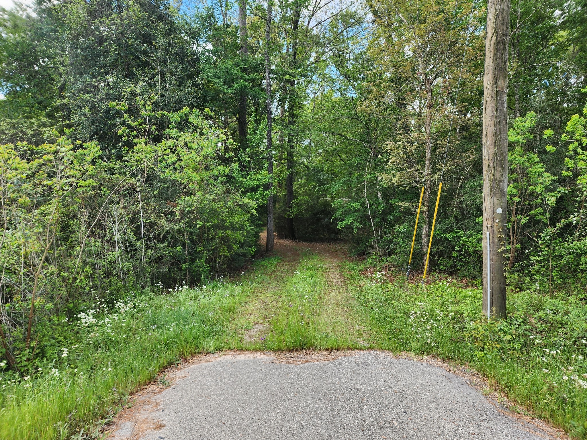 a view of a back yard