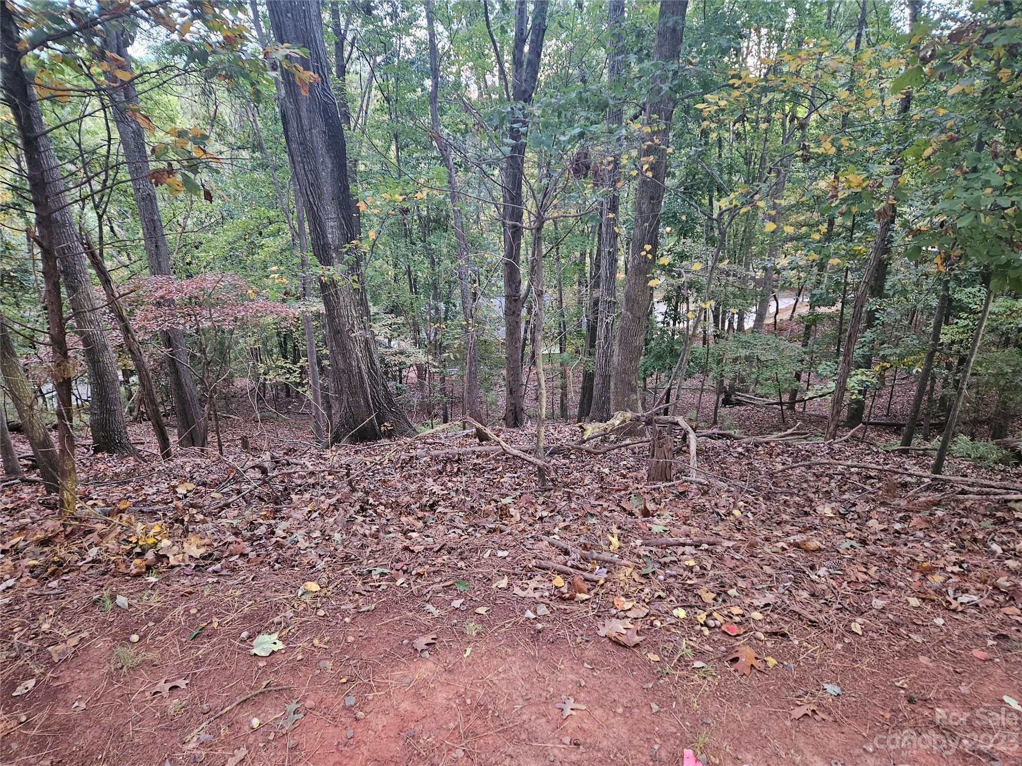 16086 Heron Run Drive Tega Cay, SC 29708 - Photo 1 of 3 a backyard of a house with lots of green space