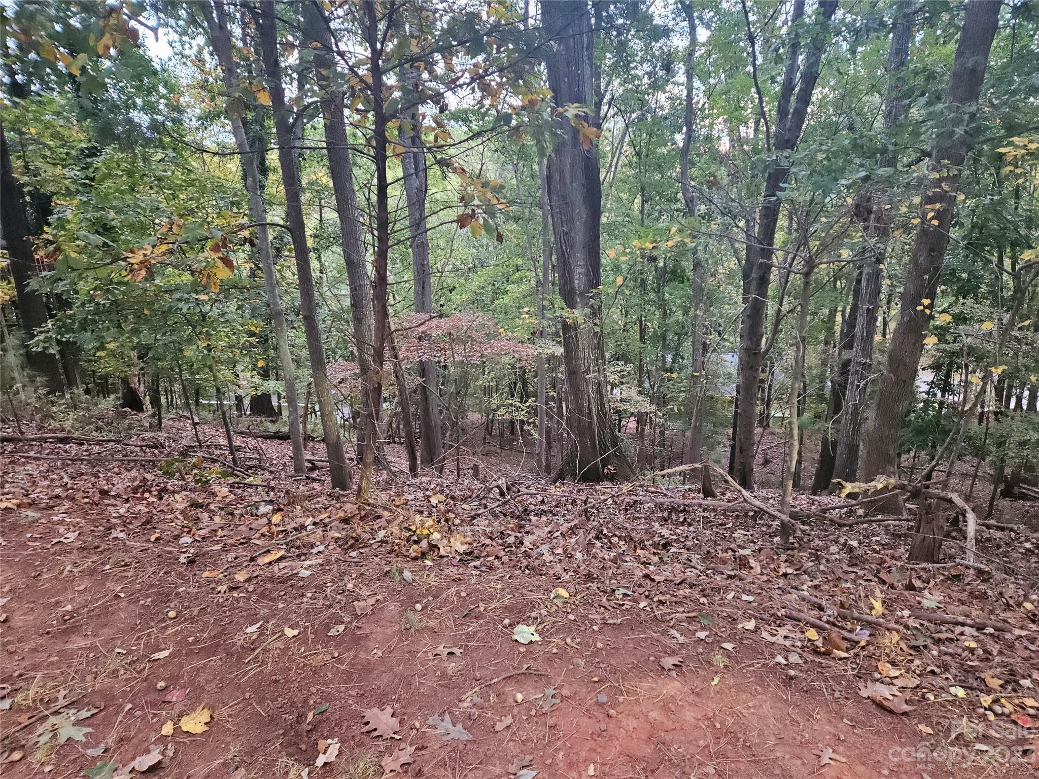 16086 Heron Run Drive Tega Cay, SC 29708 - Photo 2 of 3 a view of a forest filled with trees
