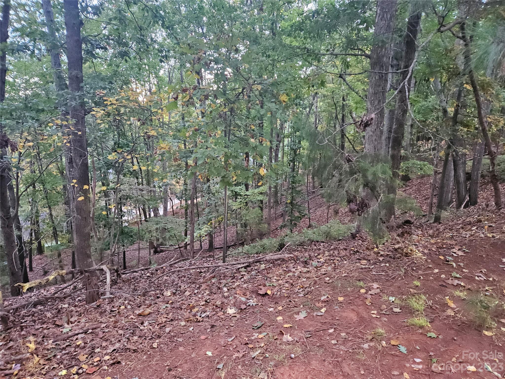 16086 Heron Run Drive Tega Cay, SC 29708 - Photo 3 of 3 a view of a forest with trees in the background