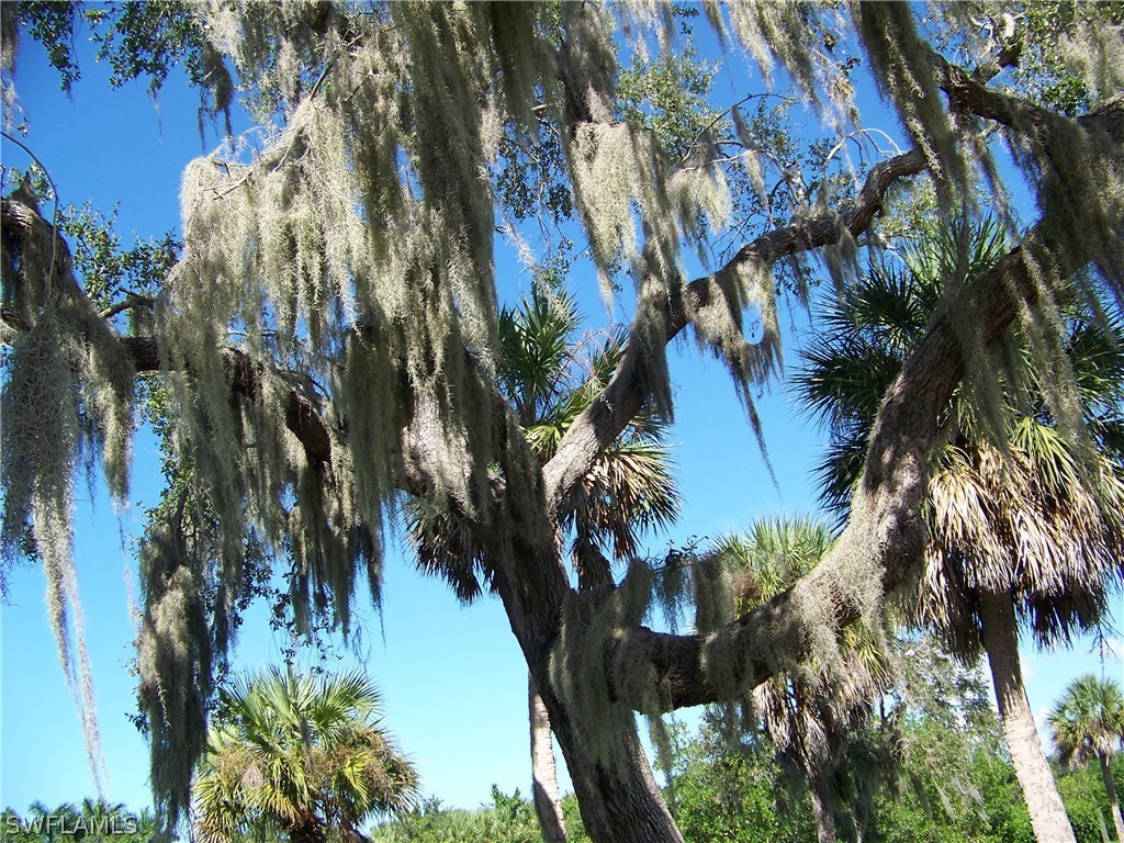 10303 Burnt Store Road, Unit 67 Punta Gorda, FL 33950 - Photo 27 of 33 Gallery Image 27