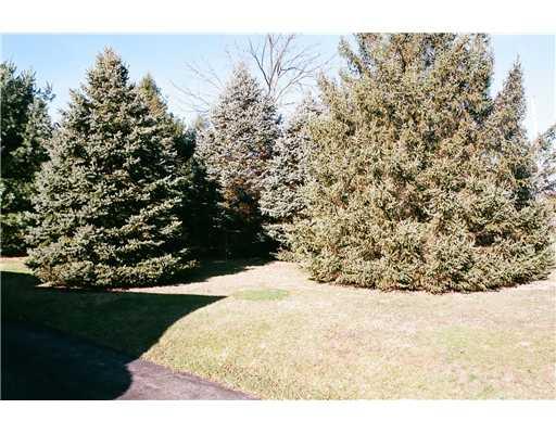 1217 Shenango Road Big Beaver, PA 16115 - Photo 12 of 18 Land/Lot.