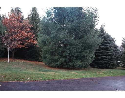 1217 Shenango Road Big Beaver, PA 16115 - Photo 13 of 18 Land/Lot.