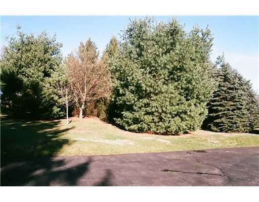 1217 Shenango Road Big Beaver, PA 16115 - Photo 14 of 18 Land/Lot.