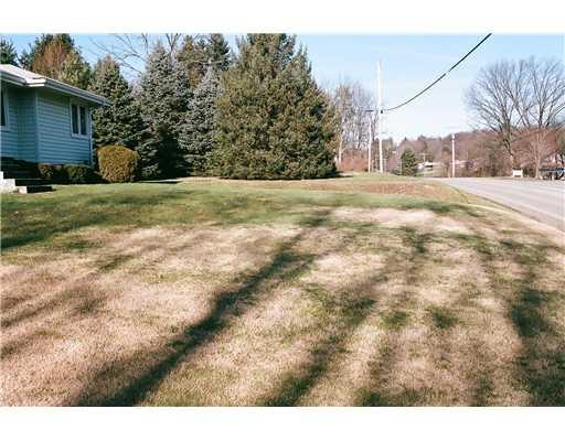 1217 Shenango Road Big Beaver, PA 16115 - Photo 18 of 18 Land/Lot.