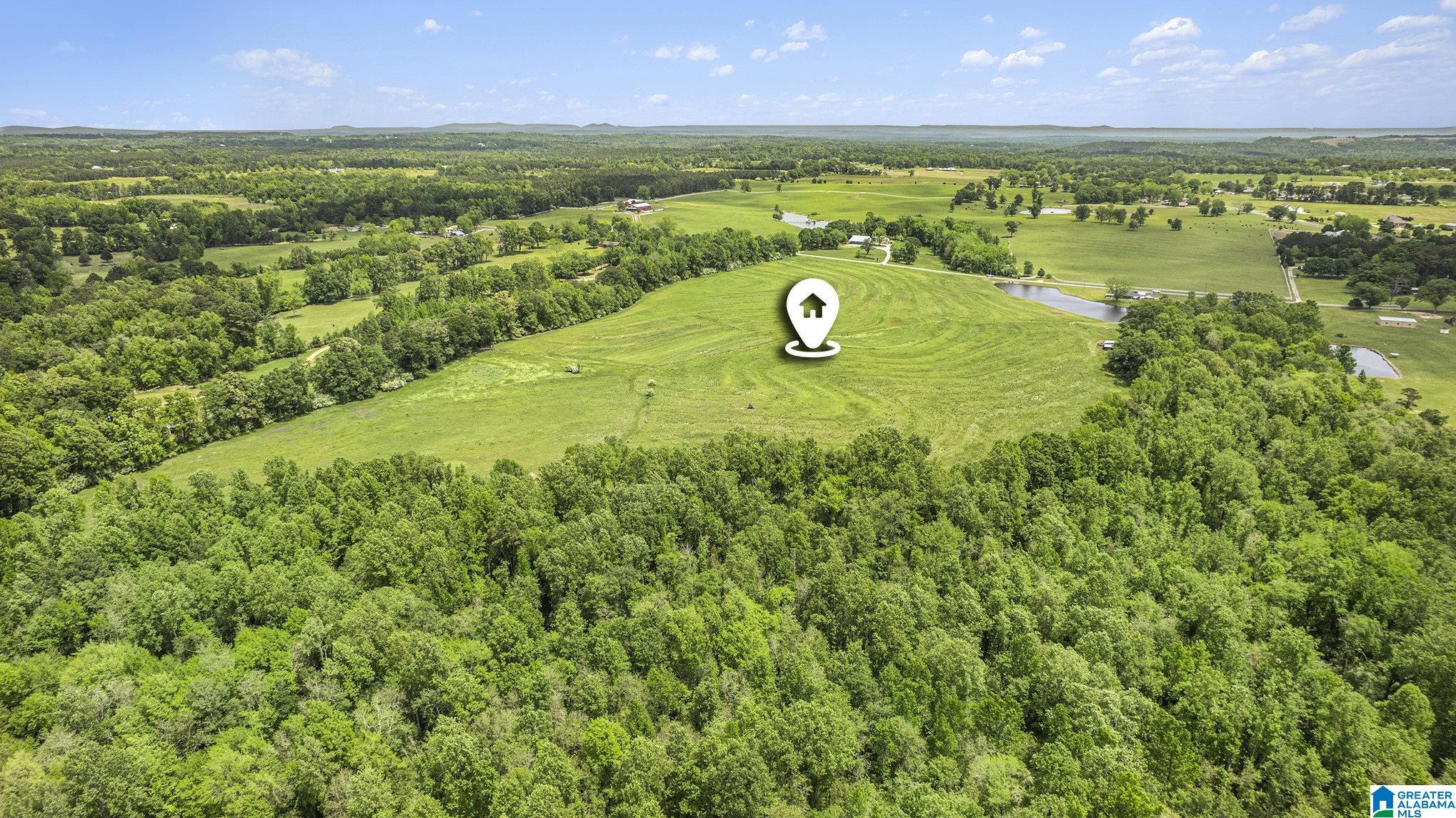 7075 County Road 43 Jemison, AL 35085 - Photo 33 of 34