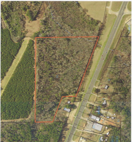 0 Us 231 Troy, AL 36079 - Photo 1 of 1
