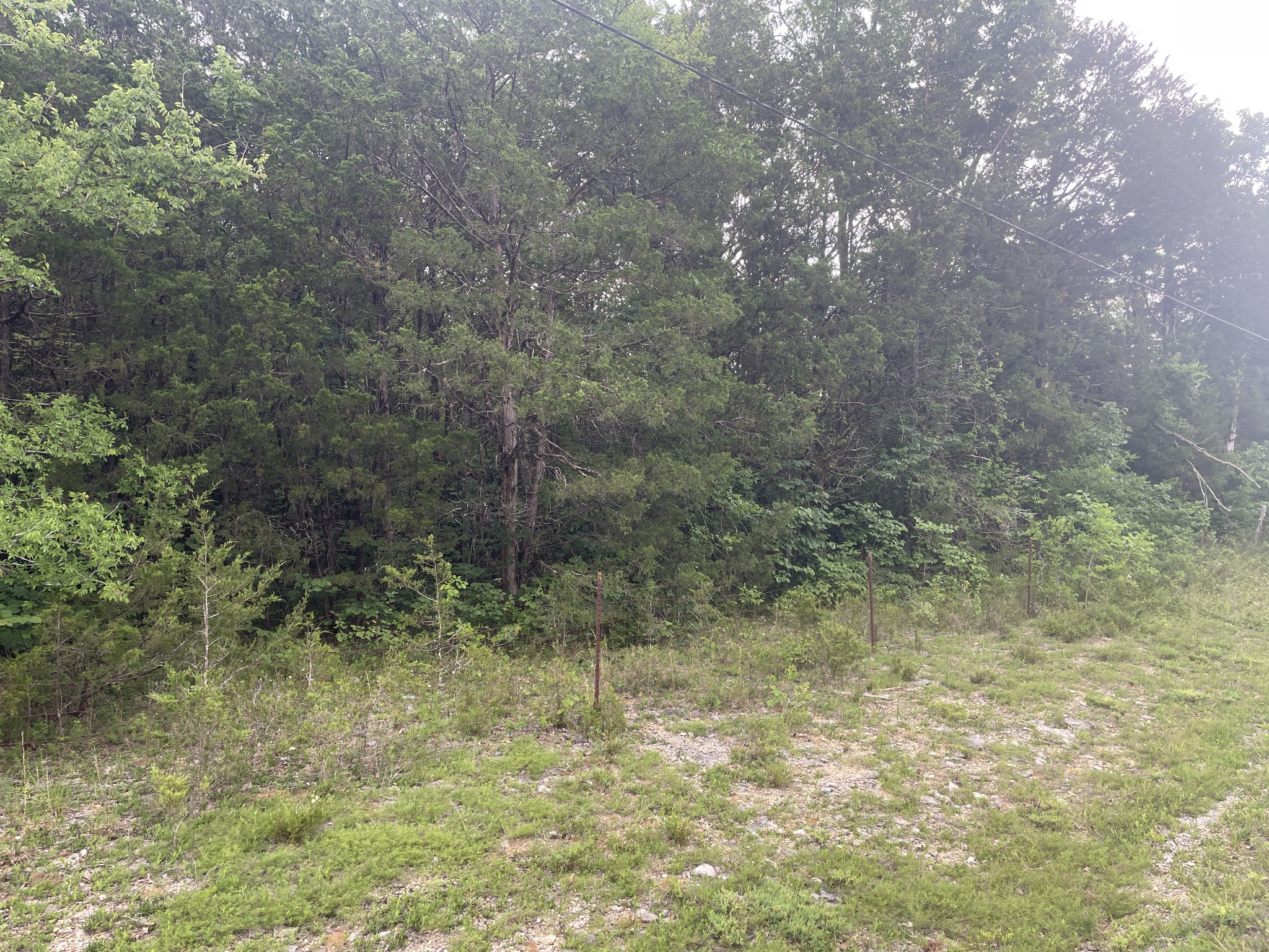 3822 Bivens Hill Road Readyville, TN 37149 - Photo 2 of 7