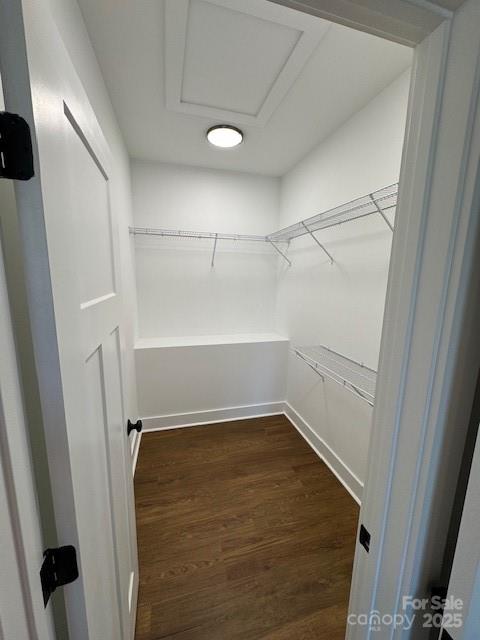 3006 Polkville Road Shelby, NC 28150 - Photo 25 of 29 a view of an empty walk in closet