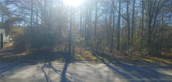 a view of outdoor space and yard