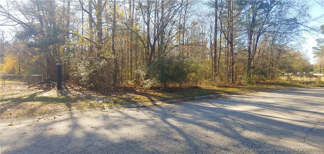 a view of a yard with large trees