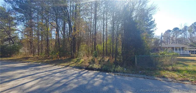 a view of backyard with green space