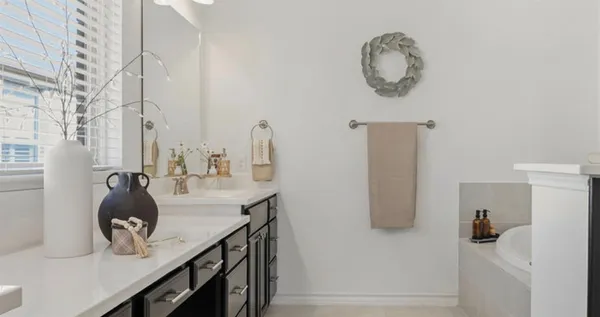a bathroom with a sink double vanity and a mirror