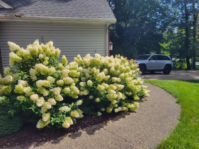 $549,900 | 11410 Windsor Drive Northeast, Sparta, MI 49345