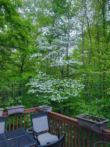 $549,900 | 11410 Windsor Drive Northeast, Sparta, MI 49345