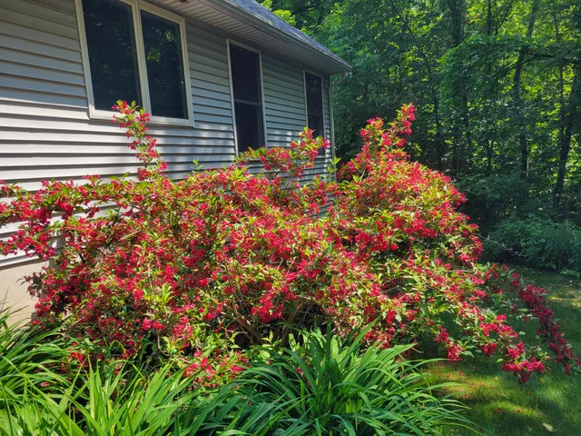 $549,900 | 11410 Windsor Drive Northeast, Sparta, MI 49345