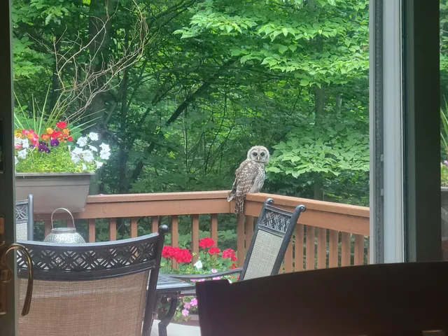 $549,900 | 11410 Windsor Drive Northeast, Sparta, MI 49345