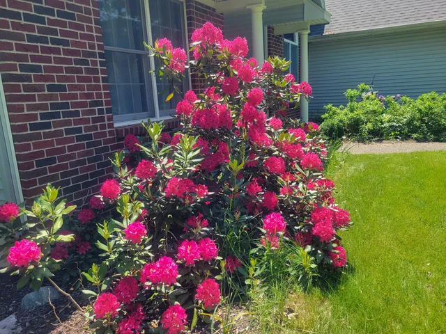 $549,900 | 11410 Windsor Drive Northeast, Sparta, MI 49345