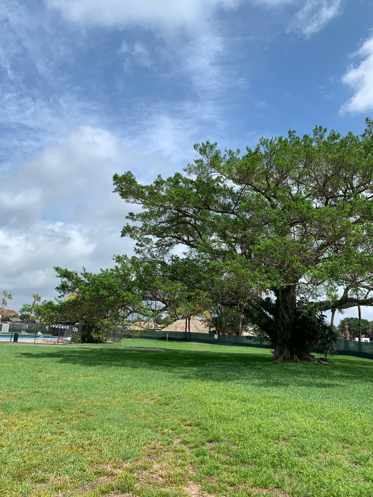 9355 Southwest 8th Street, Unit 202 Boca Raton, FL 33428 - Photo 83 of 88 Back View