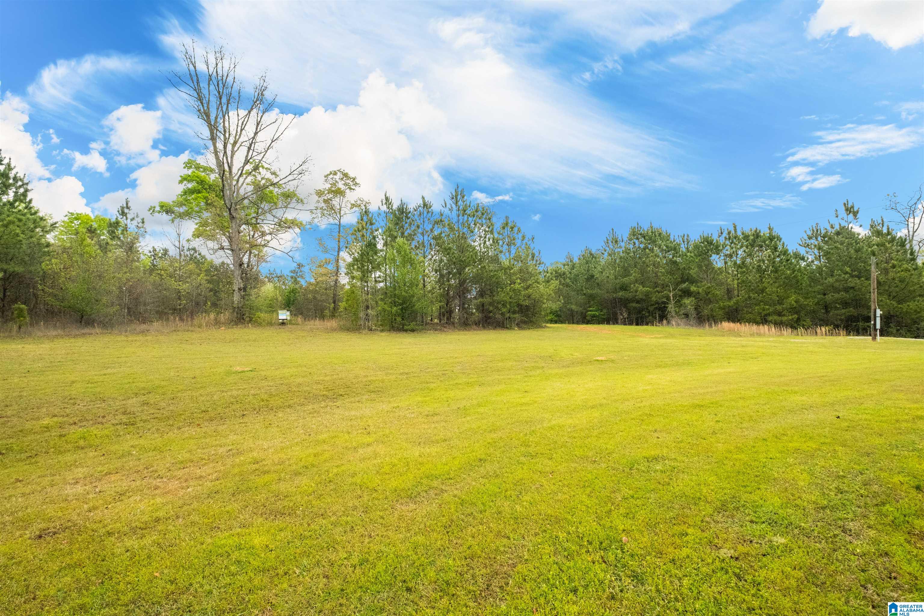 361 Mt Zion Road Cropwell, AL 35054 - Photo 65 of 74