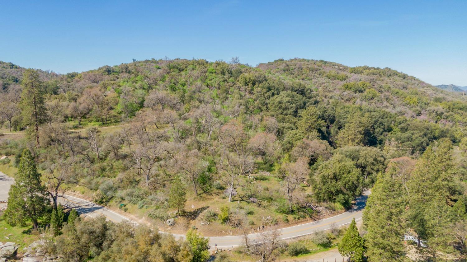 0 Dunlap Road Miramonte, CA 93641 - Photo 2 of 6 Gallery Image 2