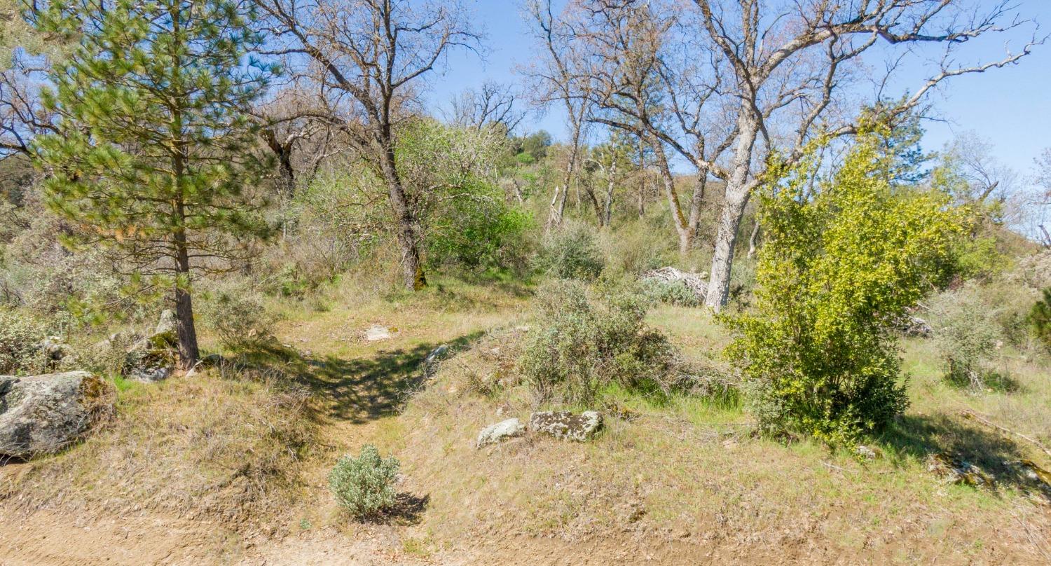 0 Dunlap Road Miramonte, CA 93641 - Photo 6 of 6 Gallery Image 6