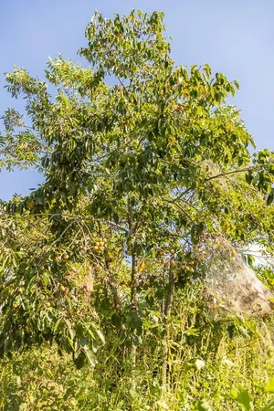 $225,000 | 2 East 343rd Street, Archie, MO 64725