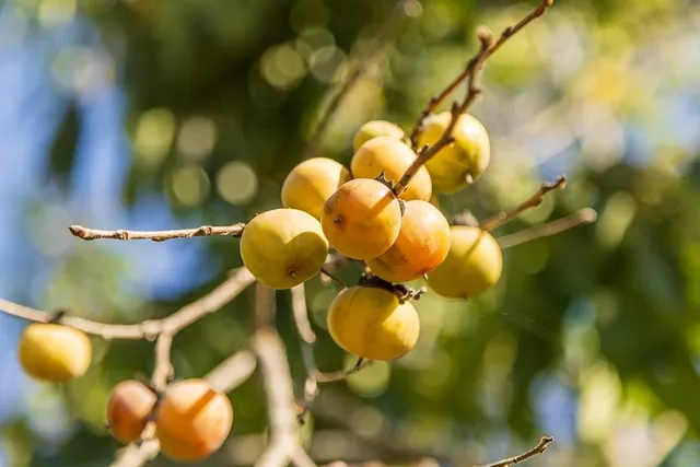 $237,500 | 2 East 343rd Street, Archie, MO 64725