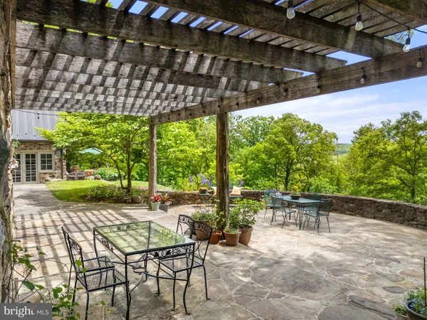 a view of a backyard with plants and a large tree