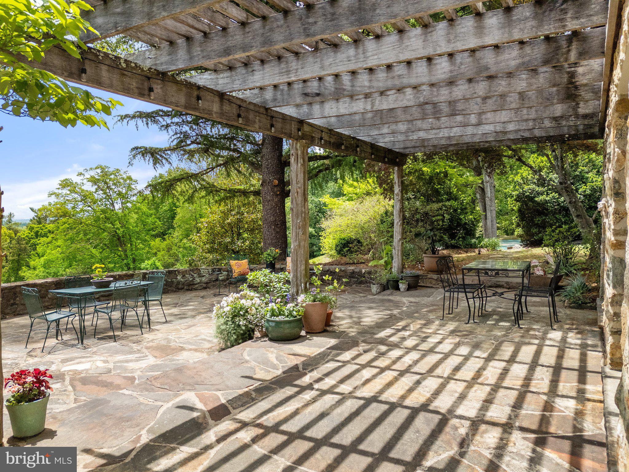 4392 Carrington Road Markham, VA 22643 - Photo 36 of 59 a view of a patio with table and chairs potted plants and large tree