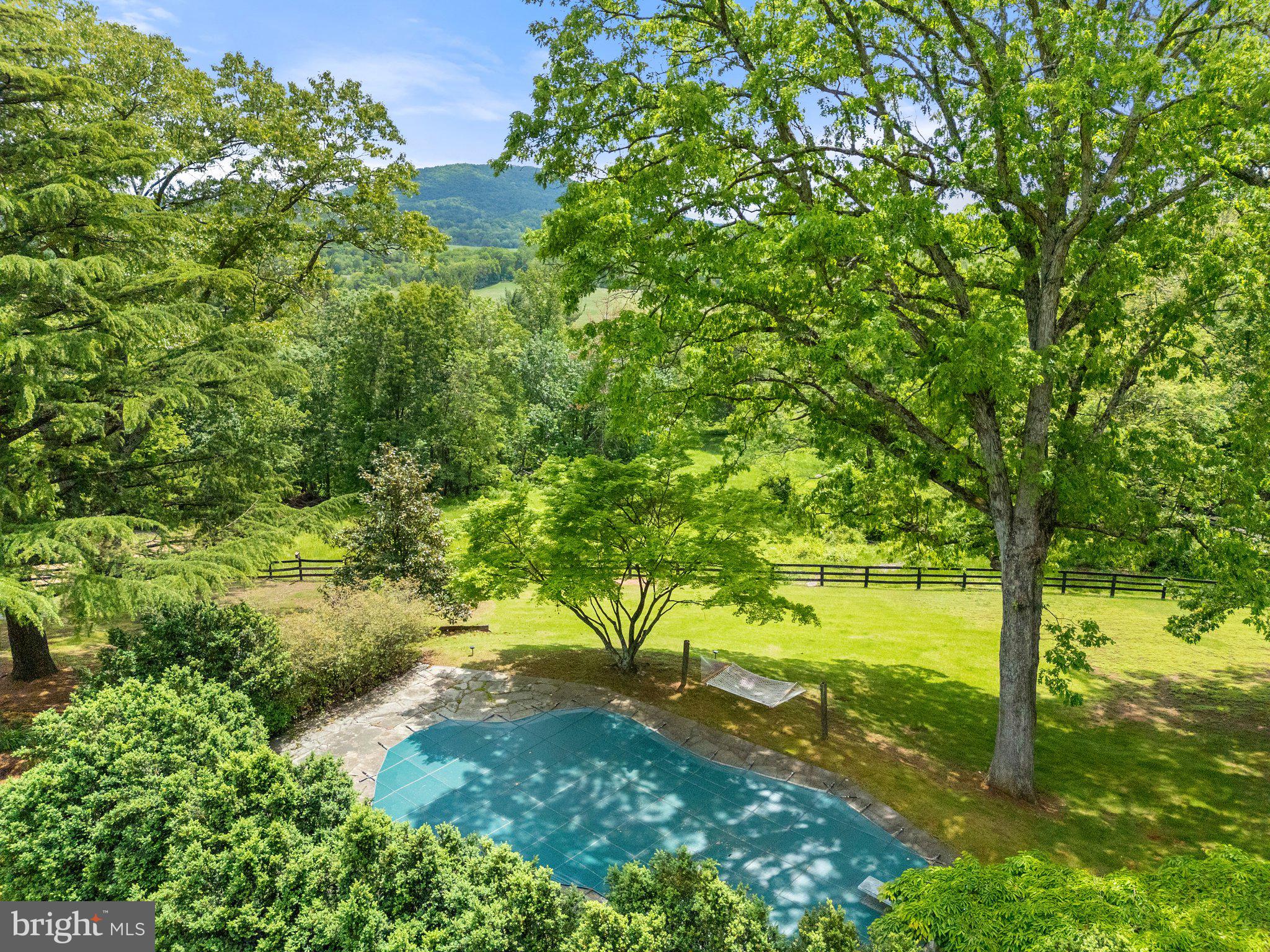 4392 Carrington Road Markham, VA 22643 - Photo 39 of 59 a view of a yard with a tree