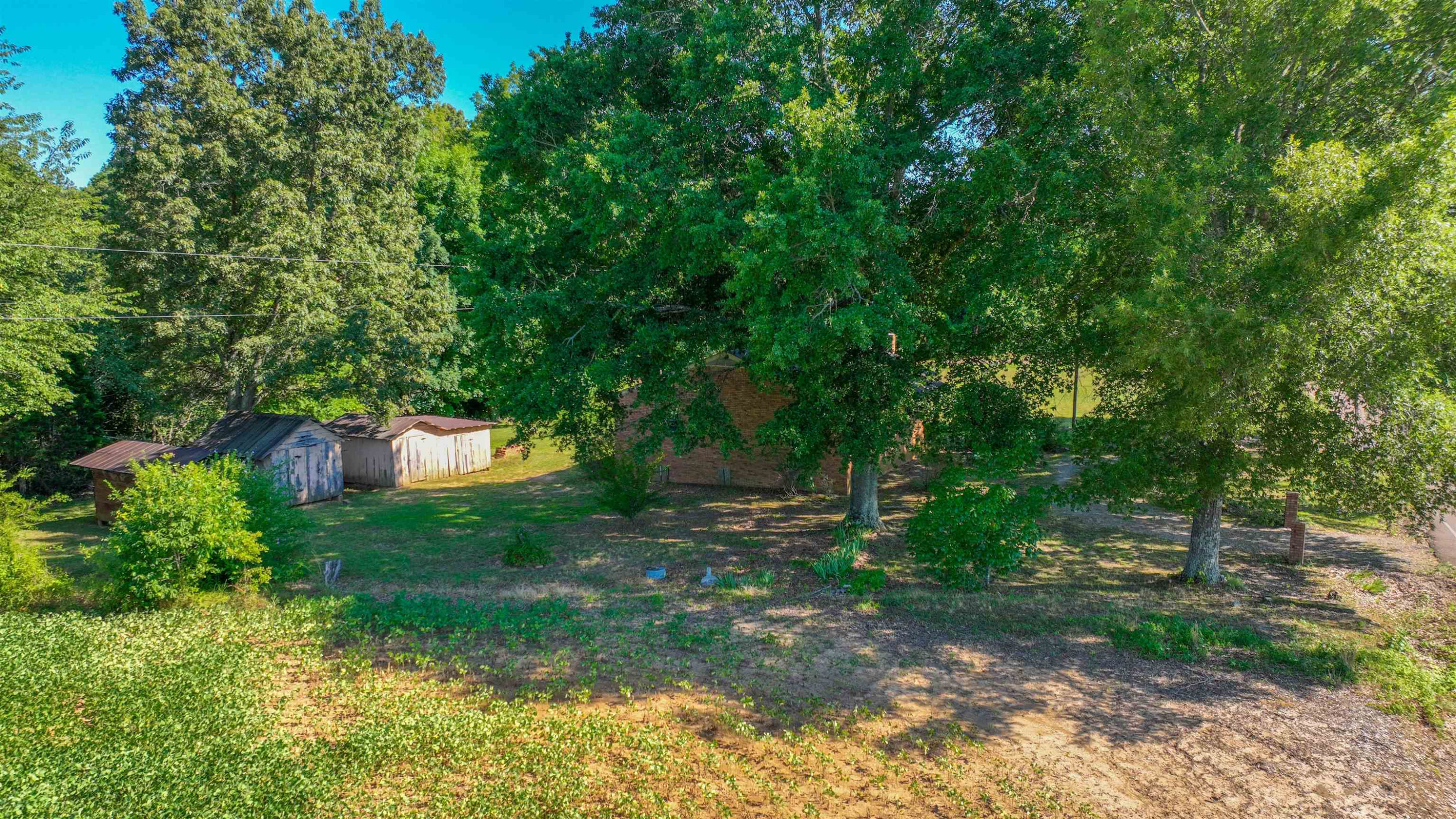 1040 Uptonville Road Mercer, TN 38392 - Photo 14 of 16 a backyard of a house with lots of green space