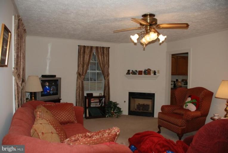 17341 Waterloo Road Amissville, VA 20106 - Photo 19 of 29 Living Room #3