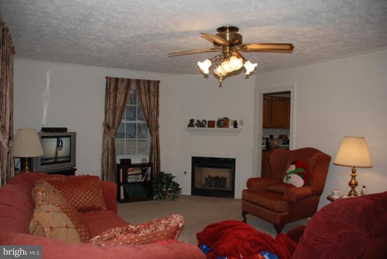 17341 Waterloo Road Amissville, VA 20106 - Photo 3 of 29 Living Room #2