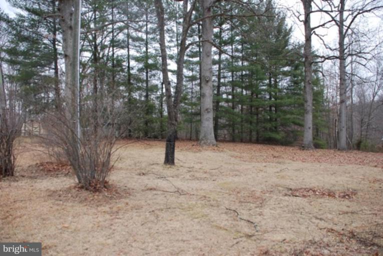 17341 Waterloo Road Amissville, VA 20106 - Photo 27 of 29 Other #5